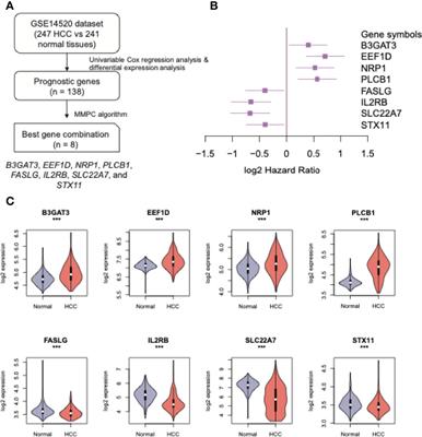 Integrative Analysis Identifies Cell-Type-Specific Genes Within Tumor Microenvironment as Prognostic Indicators in Hepatocellular Carcinoma